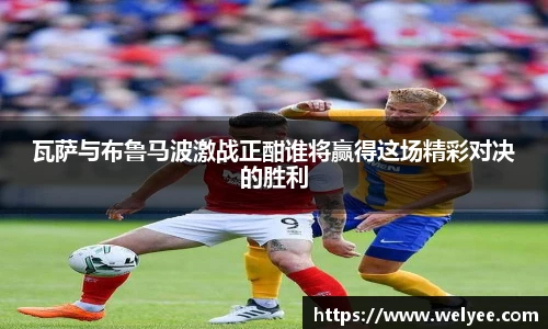 瓦萨与布鲁马波激战正酣谁将赢得这场精彩对决的胜利